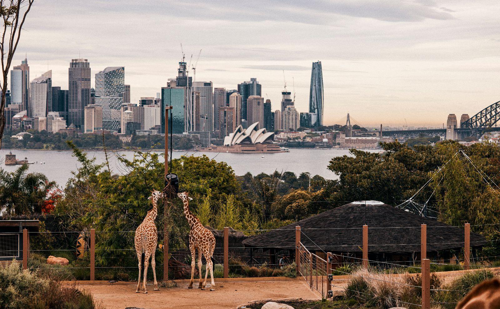 TOUR 7N6D - SYDNEY - MELBOURNE