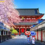 TOUR NHẬT BẢN 4N4Đ: TOKYO – YAMANASHI – PHÚ SĨ – NARITA