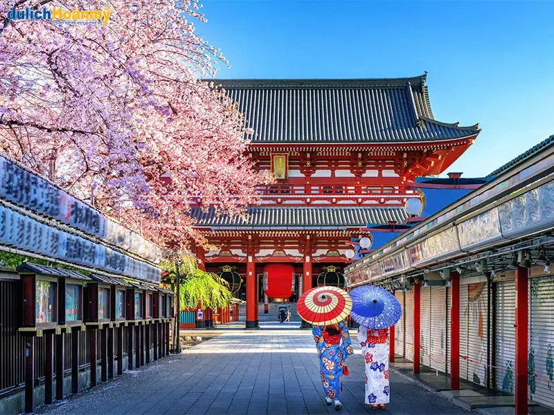 TOUR NHẬT BẢN 4N4Đ: TOKYO – YAMANASHI – PHÚ SĨ – NARITA