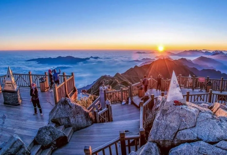 Sapa